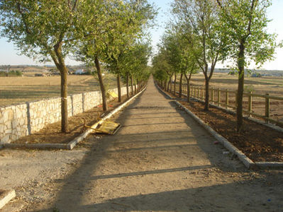 Foto del paseo en Noviembre de 2006

